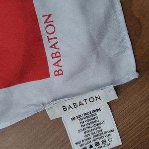 Aritzia 100% Silk Scarf